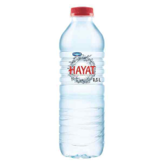 HAYAT WATER PREMIUM 24X500 ML